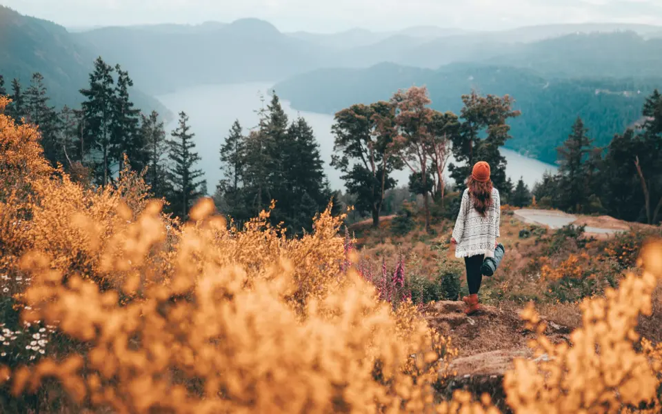 L'automne : la saison des couleurs